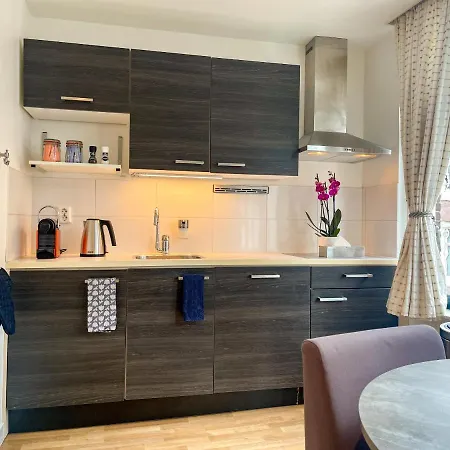 الفنان امستردام أمستردام