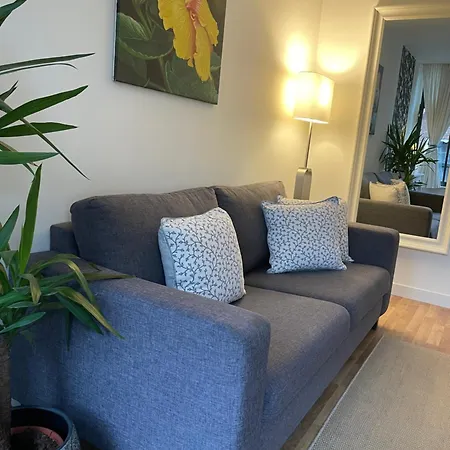 Artist House 4*