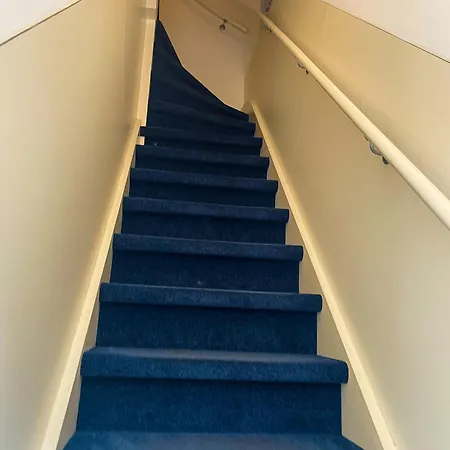 الفنان امستردام أمستردام