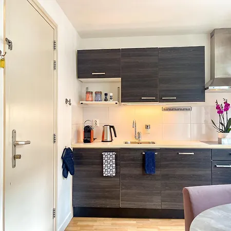 بيت ضيافة الفنان امستردام 4*