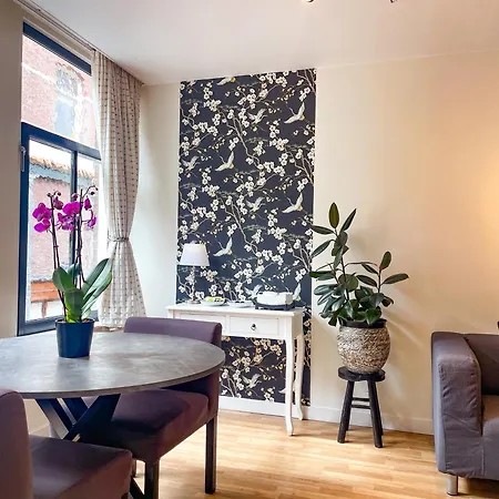 الفنان امستردام